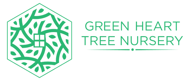 Green Heart Tree Nursery